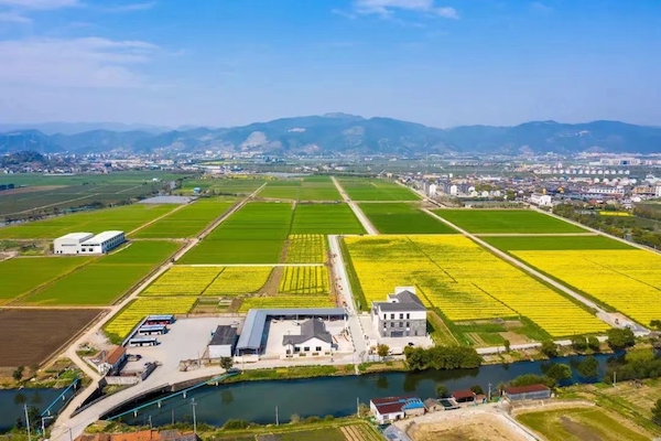 高標(biāo)準(zhǔn)農(nóng)田典型案例集錦丨“豐景”，在希望的田野